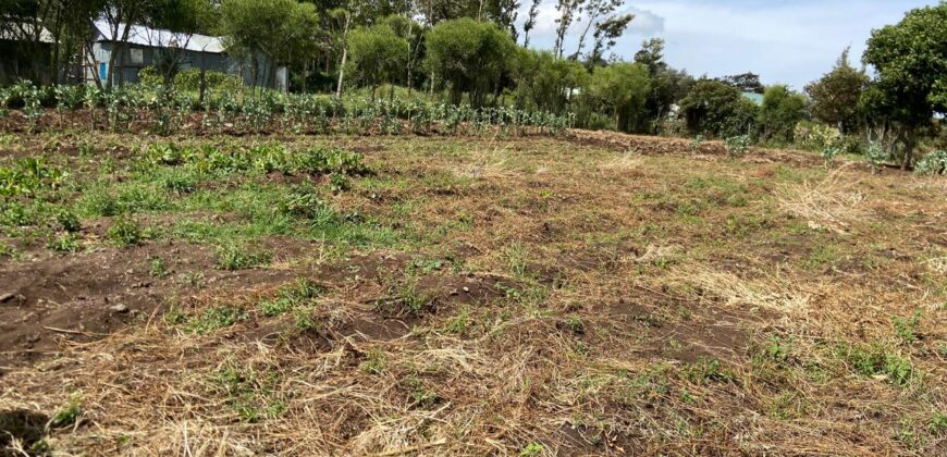 Prime 1/4 Acre Plot for Sale Near Ngong Town