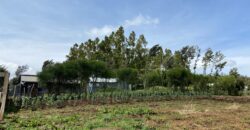 Prime 1/4 Acre Plot for Sale Near Ngong Town