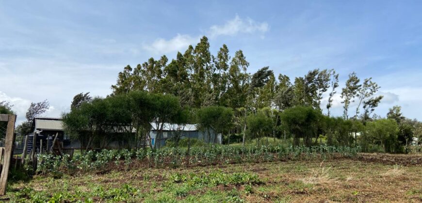 Prime 1/4 Acre Plot for Sale Near Ngong Town