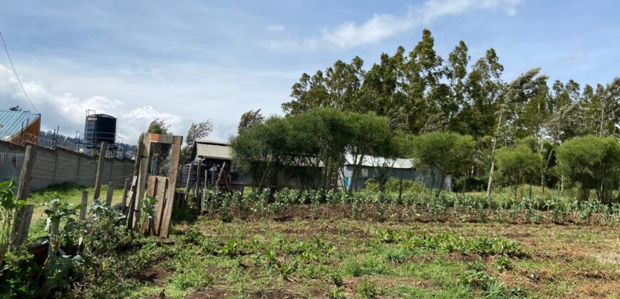 Prime 1/4 Acre Plot for Sale Near Ngong Town