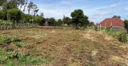 Prime 1/4 Acre Plot for Sale Near Ngong Town