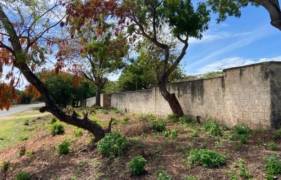 1 Acre Plot for Sale near Kilifi Bofa Beach