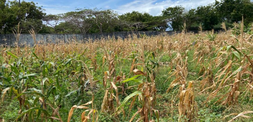 1 Acre Plot for Sale near Kilifi Bofa Beach