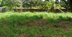 Prime Quarter Acre Plot for Sale in Mtwapa, Kilifi County