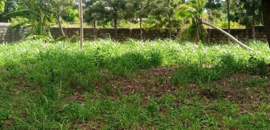 Prime Quarter Acre Plot for Sale in Mtwapa, Kilifi County