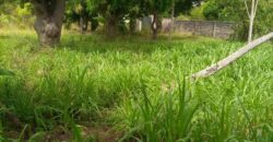 Prime Quarter Acre Plot for Sale in Mtwapa, Kilifi County