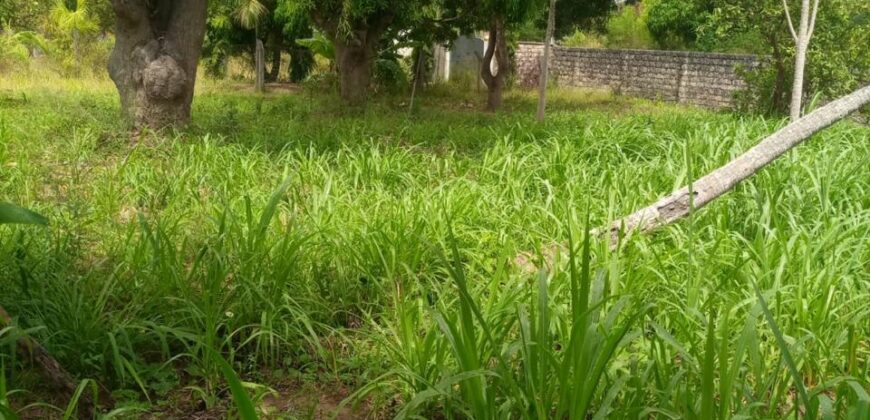 Prime Quarter Acre Plot for Sale in Mtwapa, Kilifi County