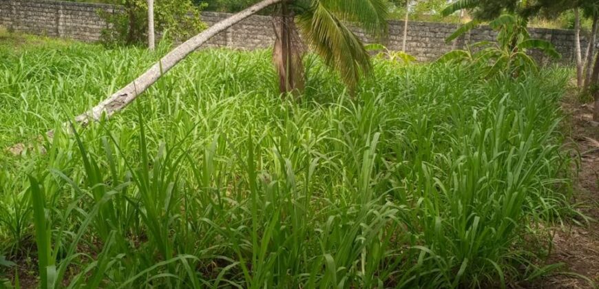 Prime Quarter Acre Plot for Sale in Mtwapa, Kilifi County