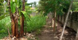 Prime Quarter Acre Plot for Sale in Mtwapa, Kilifi County