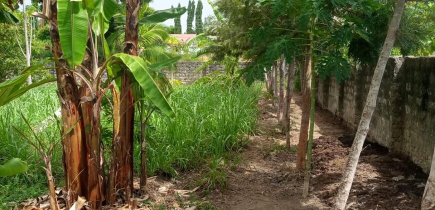 Prime Quarter Acre Plot for Sale in Mtwapa, Kilifi County