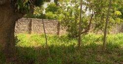 Prime Quarter Acre Plot for Sale in Mtwapa, Kilifi County