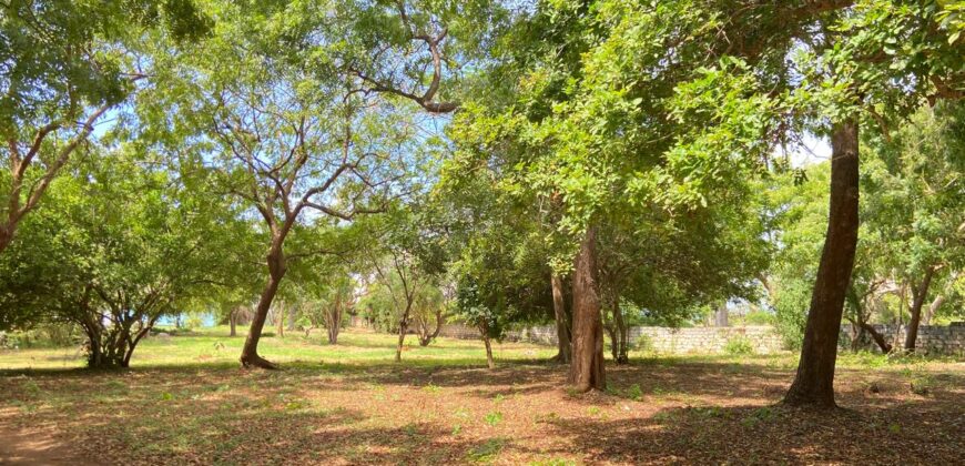 Exquisite 6-Bedroom House for Sale in Kilifi, Kenya