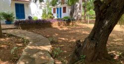 Exquisite 6-Bedroom House for Sale in Kilifi, Kenya