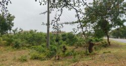 Prime 1/4 Acre Plot for Sale in Kilifi Bofa Beach