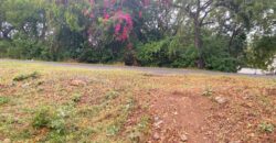 Prime 1/4 Acre Plot for Sale in Kilifi Bofa Beach