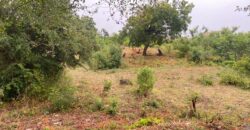 Prime 1/4 Acre Plot for Sale in Kilifi Bofa Beach