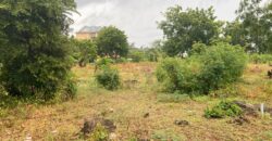 Prime 1/4 Acre Plot for Sale in Kilifi Bofa Beach