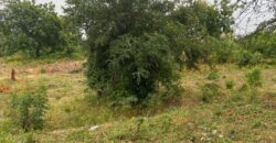 Prime 1/4 Acre Plot for Sale in Kilifi Bofa Beach