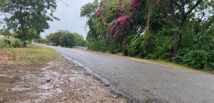 Prime 1/4 Acre Plot for Sale in Kilifi Bofa Beach