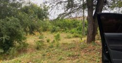 Prime 1/4 Acre Plot for Sale in Kilifi Bofa Beach