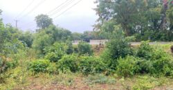 Prime 1/4 Acre Plot for Sale in Kilifi Bofa Beach