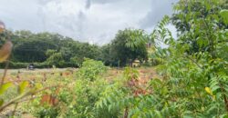 Prime 1/4 Acre Plot for Sale in Kilifi Bofa Beach