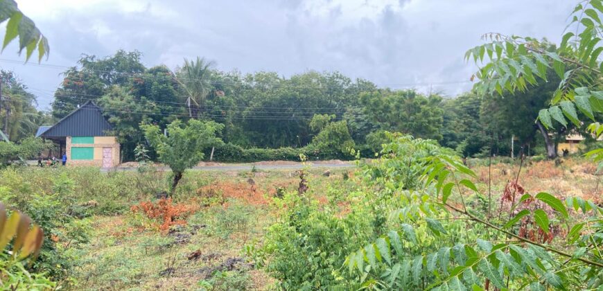 Prime 1/4 Acre Plot for Sale in Kilifi Bofa Beach