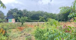 Prime 1/4 Acre Plot for Sale in Kilifi Bofa Beach