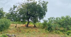 Prime 1/4 Acre Plot for Sale in Kilifi Bofa Beach