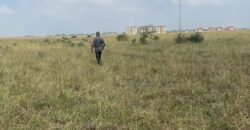 Juja Bliss Gardens: Prime 50×100 Plots for Sale