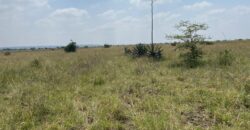 Juja Bliss Gardens: Prime 50×100 Plots for Sale