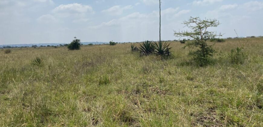 Juja Bliss Gardens: Prime 50×100 Plots for Sale