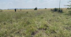 Juja Bliss Gardens: Prime 50×100 Plots for Sale