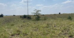 Juja Bliss Gardens: Prime 50×100 Plots for Sale