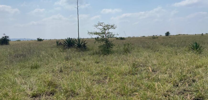 Juja Bliss Gardens: Prime 50×100 Plots for Sale