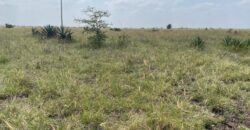 Juja Bliss Gardens: Prime 50×100 Plots for Sale