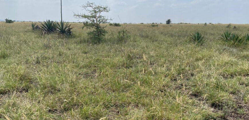 Juja Bliss Gardens: Prime 50×100 Plots for Sale