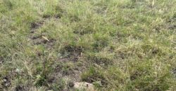 Juja Bliss Gardens: Prime 50×100 Plots for Sale