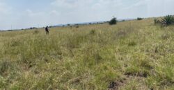 Juja Prime Gardens Plots
