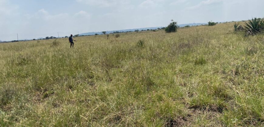 Juja Prime Gardens Plots