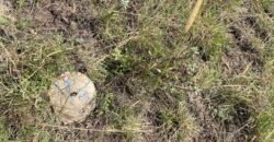 Juja Prime Gardens Plots