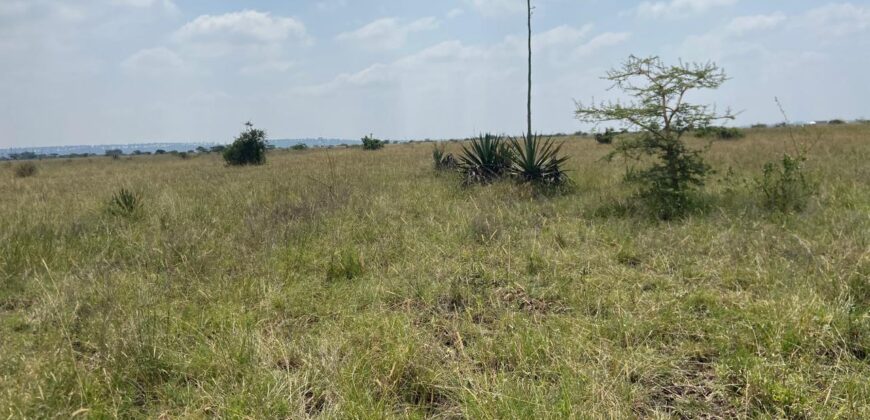 Juja Prime Gardens Plots