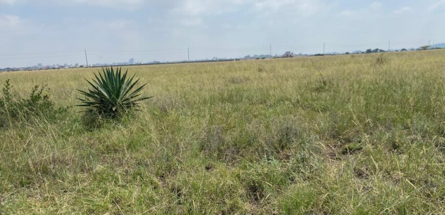 Juja Prime Gardens Plots