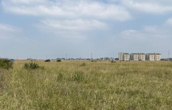 Juja Prime Gardens Plots