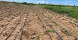 Affordable Farm Land In Rumuruti