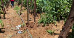 Affordable Farm Land In Rumuruti