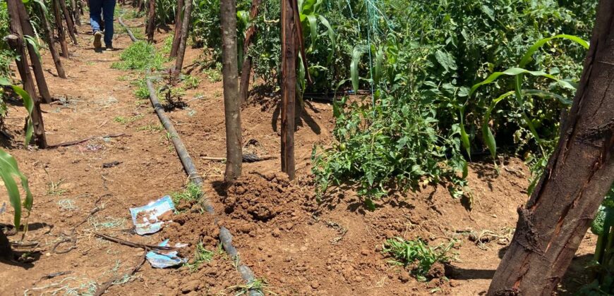 Affordable Farm Land In Rumuruti