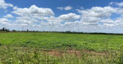 Affordable Farm Land In Rumuruti