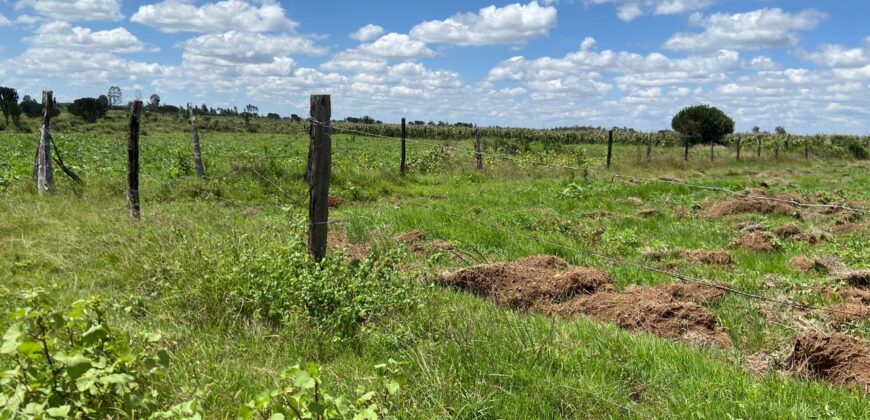 Affordable Farm Land In Rumuruti