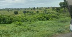 Malindi Fertile Land For Farming